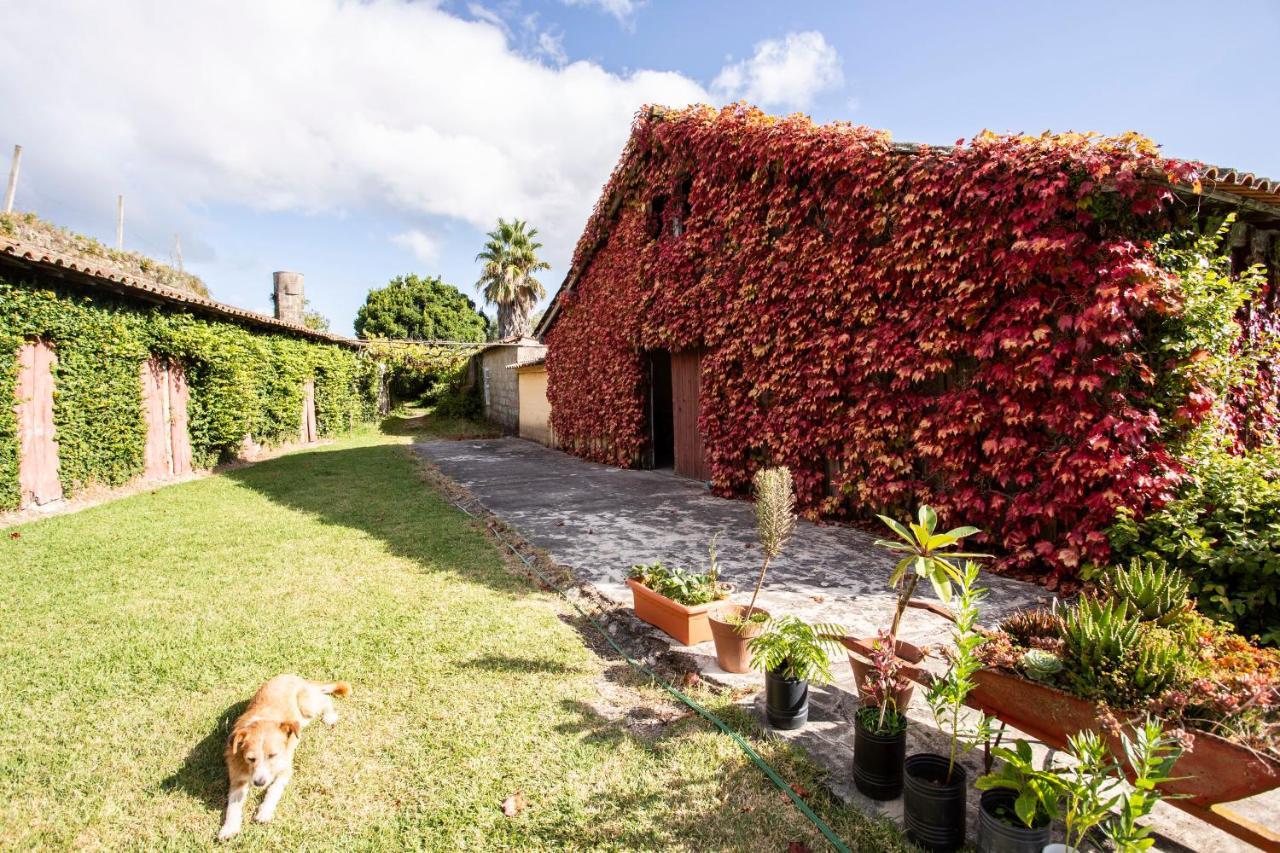 Bed and breakfast Casa Da Várzea 3*